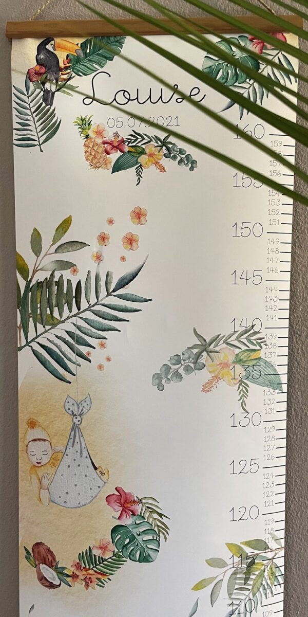 Toise Tropicale – Image 2