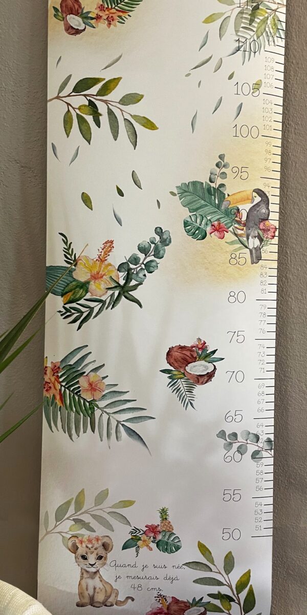Toise Tropicale – Image 3