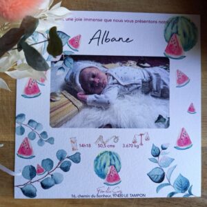 Faire-part Naissance Albane