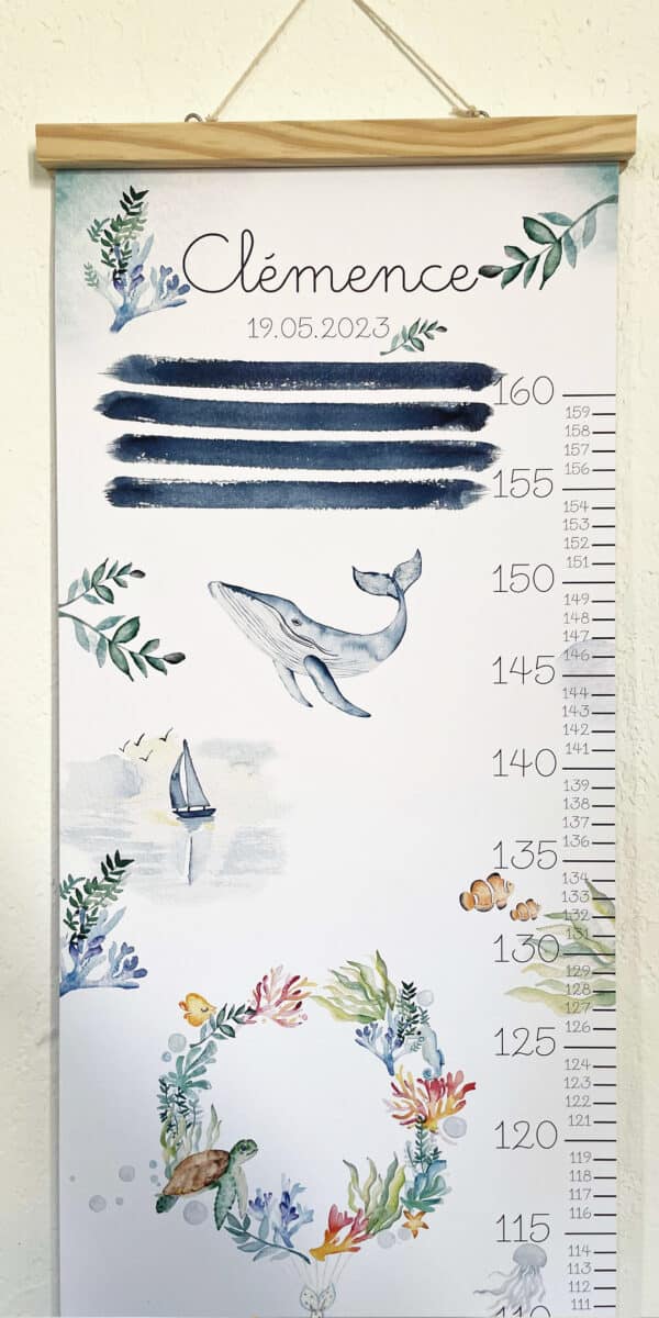 Toise Océan – Image 2