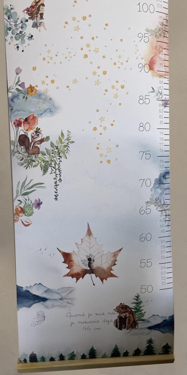 Toise Animaux – Image 3