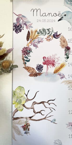 Toise Oiseaux
