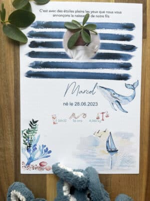 Affiche de Naissance Baleine
