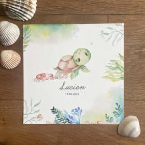 Faire-part Naissance Lucien