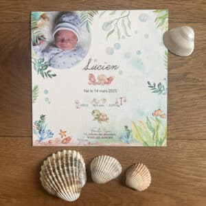 Faire-part Naissance Lucien